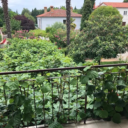 Maison d'hôtes Ena *