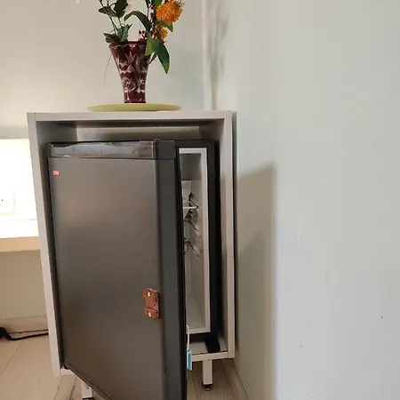 Ena * 罗维尼